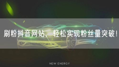刷粉抖音网站，轻松实现粉丝量突破！