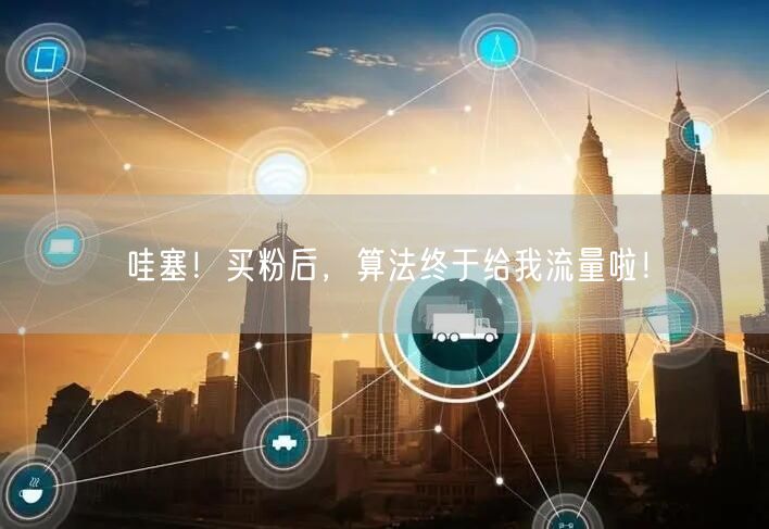 哇塞！买粉后，算法终于给我流量啦！