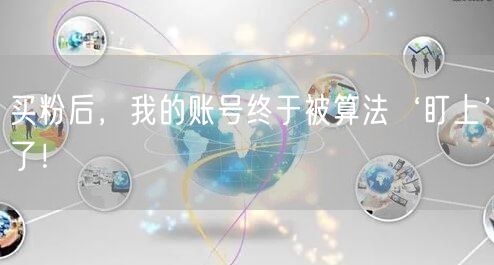 买粉后，我的账号终于被算法‘盯上’了！