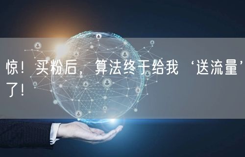 惊！买粉后，算法终于给我‘送流量’了！