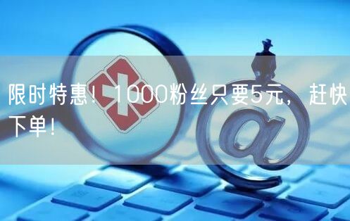限时特惠！1000粉丝只要5元，赶快下单！