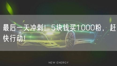 最后一天冲刺！5块钱买1000粉，赶快行动！