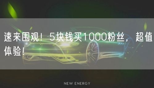速来围观！5块钱买1000粉丝，超值体验！