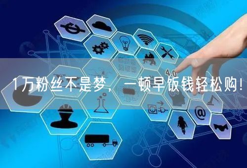 1万粉丝不是梦，一顿早饭钱轻松购！
