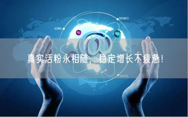真实活粉永相随，稳定增长不疲惫！