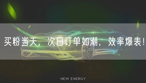 买粉当天，次日订单如潮，效率爆表！
