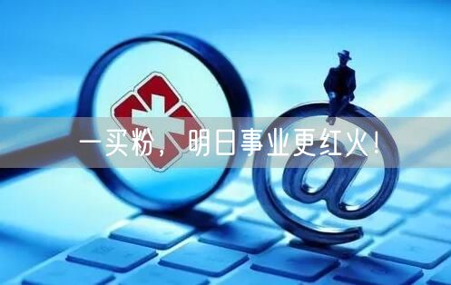 一买粉，明日事业更红火！