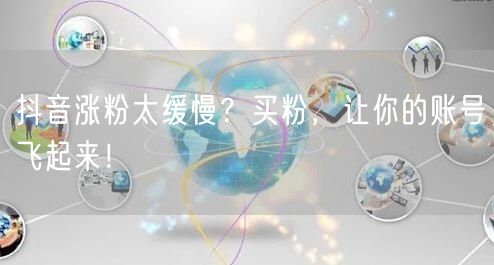 抖音涨粉太缓慢？买粉，让你的账号飞起来！