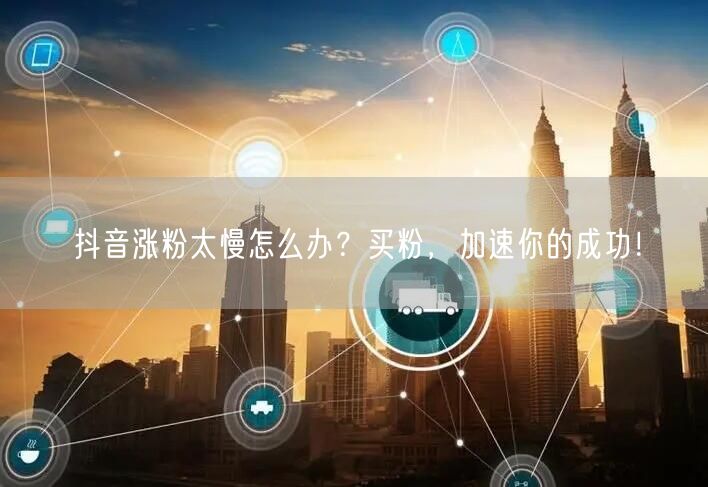 抖音涨粉太慢怎么办？买粉，加速你的成功！