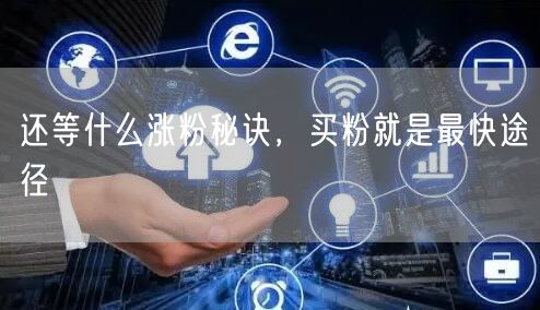 还等什么涨粉秘诀，买粉就是最快途径