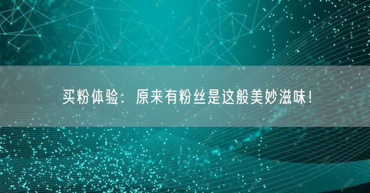 买粉体验：原来有粉丝是这般美妙滋味！