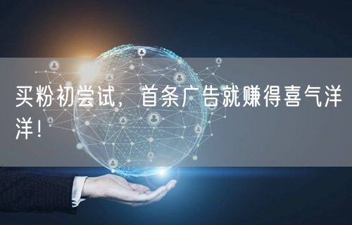 买粉初尝试，首条广告就赚得喜气洋洋！