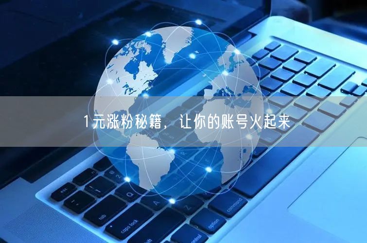 1元涨粉秘籍，让你的账号火起来