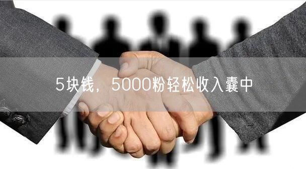 5块钱，5000粉轻松收入囊中