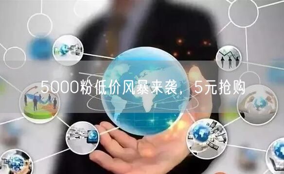 5000粉低价风暴来袭，5元抢购