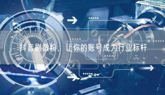 抖音刷微粉，让你的账号成为行业标杆