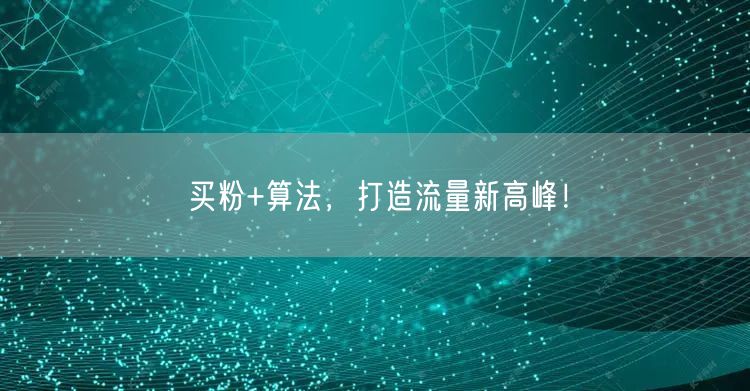 买粉+算法，打造流量新高峰！