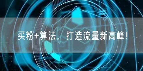 买粉+算法，打造流量新高峰！