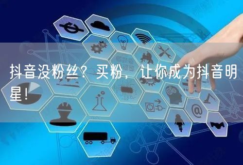 抖音没粉丝？买粉，让你成为抖音明星！