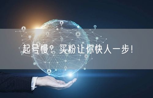 起号慢？买粉让你快人一步！