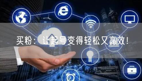 买粉：让起号变得轻松又高效！