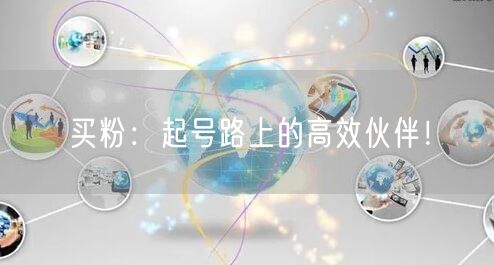 买粉：起号路上的高效伙伴！
