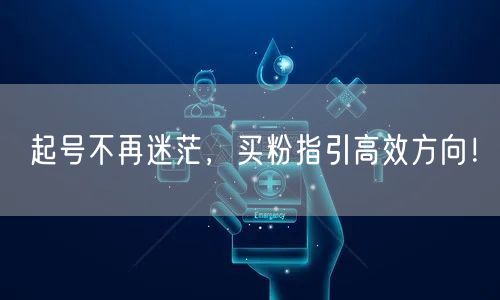 起号不再迷茫，买粉指引高效方向！