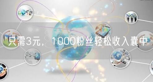 只需3元，1000粉丝轻松收入囊中