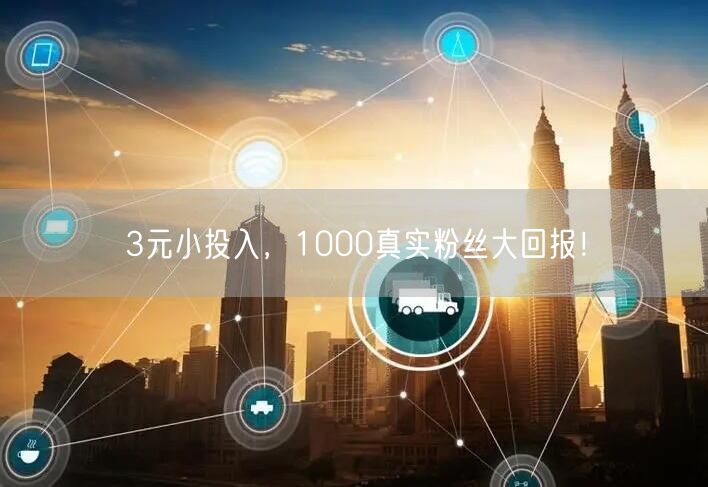 3元小投入，1000真实粉丝大回报！