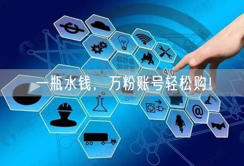 一瓶水钱，万粉账号轻松购！