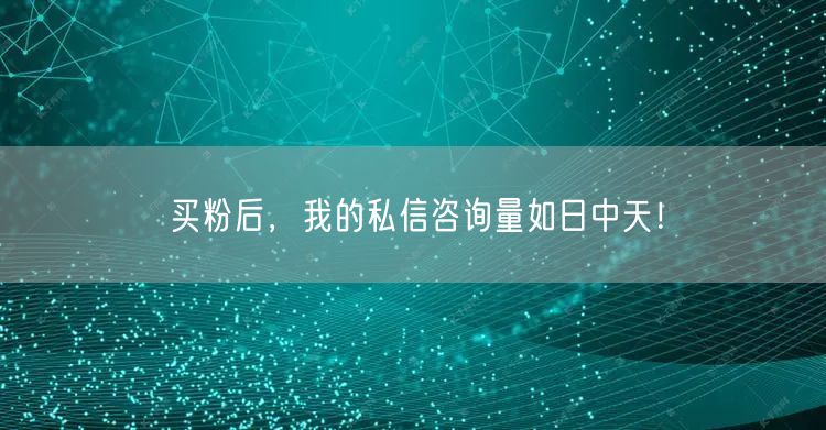 买粉后，我的私信咨询量如日中天！
