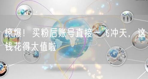 惊爆！买粉后账号直接一飞冲天，这钱花得太值啦
