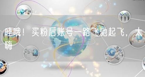 哇哦！买粉后账号一路飞驰起飞，太嗨