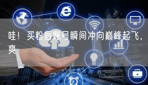 哇！买粉后账号瞬间冲向巅峰起飞，爽