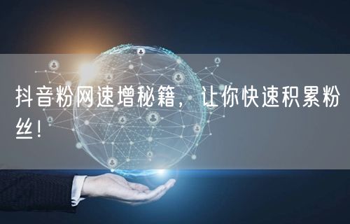 抖音粉网速增秘籍，让你快速积累粉丝！