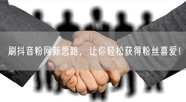 刷抖音粉网新思路，让你轻松获得粉丝喜爱！