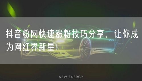 抖音粉网快速涨粉技巧分享，让你成为网红界新星！