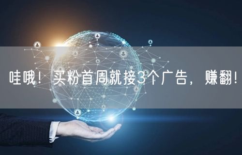 哇哦！买粉首周就接3个广告，赚翻！