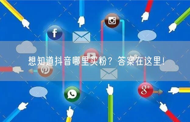 想知道抖音哪里买粉？答案在这里！