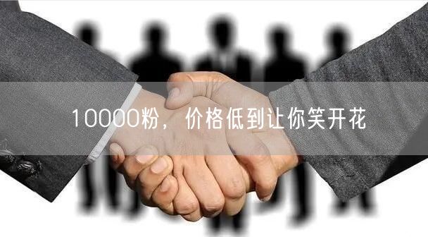 10000粉，价格低到让你笑开花