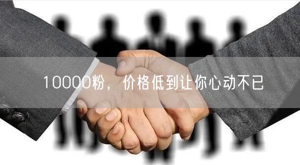10000粉，价格低到让你心动不已